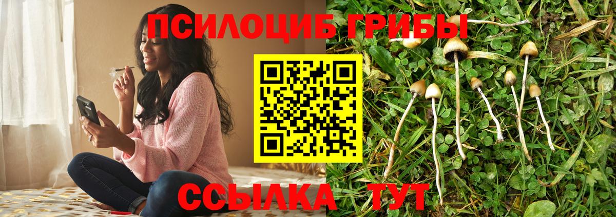 Галлюциногенные грибы мухоморы Лесозаводск