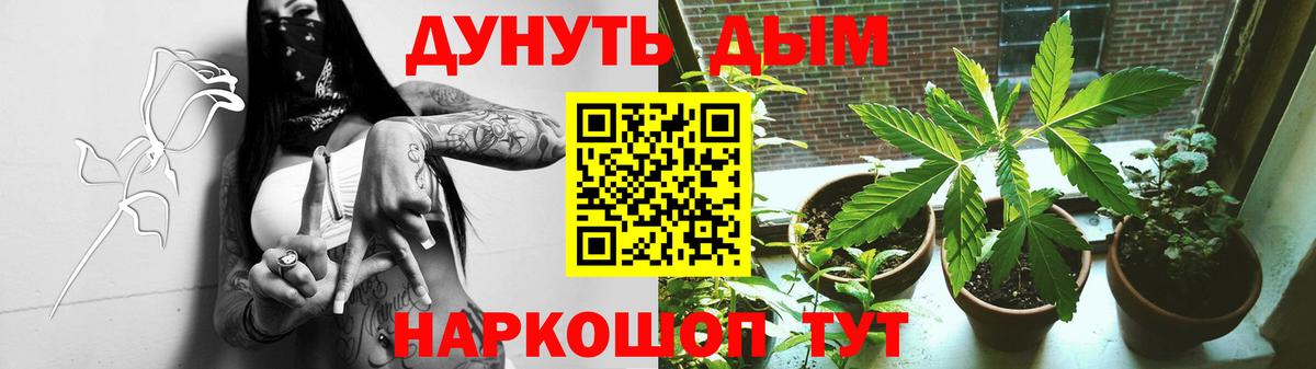 Бошки Шишки план  Вход с VPN  Канабис Amnesia  Лесозаводск  Бошки Шишки VHQ 